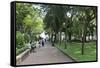 23/9 Park, Ho Chi Minh City (Saigon), Vietnam, Indochina, Southeast Asia, Asia-Wendy Connett-Framed Stretched Canvas