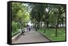 23/9 Park, Ho Chi Minh City (Saigon), Vietnam, Indochina, Southeast Asia, Asia-Wendy Connett-Framed Stretched Canvas