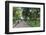 23/9 Park, Ho Chi Minh City (Saigon), Vietnam, Indochina, Southeast Asia, Asia-Wendy Connett-Framed Photographic Print