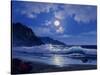 2309T0-Casay Anthony-Stretched Canvas