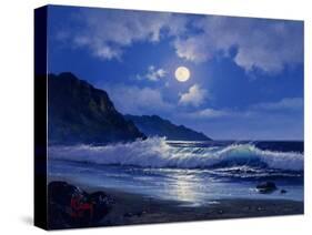 2309T0-Casay Anthony-Stretched Canvas