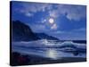 2309T0-Casay Anthony-Stretched Canvas