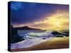 2327T0-Casay Anthony-Stretched Canvas