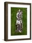 2333071.jp-Peter Thompson-Framed Photographic Print