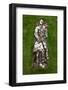 2333071.jp-Peter Thompson-Framed Photographic Print