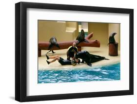 2333504.jp-Peter Thompson-Framed Photographic Print