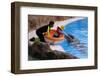 2333507.jp-Peter Thompson-Framed Photographic Print