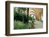 2333912.jp-Peter Thompson-Framed Photographic Print