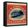 24-cent Curtis Jenny Invert Stamp-null-Framed Stretched Canvas