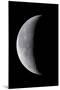 24 Day Old Waning Moon-null-Mounted Premium Photographic Print