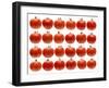 24 Tomatoes-Steve Gadomski-Framed Photographic Print