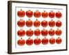 24 Tomatoes-Steve Gadomski-Framed Photographic Print