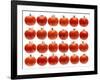 24 Tomatoes-Steve Gadomski-Framed Photographic Print