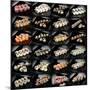 24 Types Of Sushi Rolls-Lev4-Mounted Art Print