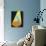 24CO-Pierre Henri Matisse-Giclee Print displayed on a wall