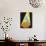 24CO-Pierre Henri Matisse-Mounted Giclee Print displayed on a wall