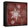 25 Days Til'Christmas 013-LightBoxJournal-Framed Stretched Canvas