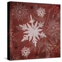 25 Days Til'Christmas 013-LightBoxJournal-Stretched Canvas