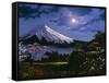 2509T0-Casay Anthony-Framed Stretched Canvas