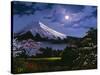 2509T0-Casay Anthony-Stretched Canvas