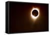 259 Eclipse 2017-Gordon Semmens-Framed Stretched Canvas