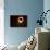 259 Eclipse 2017-Gordon Semmens-Giclee Print displayed on a wall