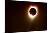 259 Eclipse 2017-Gordon Semmens-Mounted Giclee Print