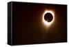 259 Eclipse 2017-Gordon Semmens-Framed Stretched Canvas