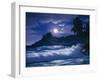 2594T0-Casay Anthony-Framed Giclee Print