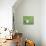 25COF-Pierre Henri Matisse-Giclee Print displayed on a wall