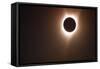 262 Eclipse 2017 (2)-Gordon Semmens-Framed Stretched Canvas
