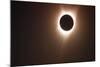 262 Eclipse 2017 (2)-Gordon Semmens-Mounted Giclee Print