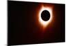 262 Eclipse 2017-Gordon Semmens-Mounted Giclee Print