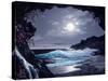 2622T0-Casay Anthony-Stretched Canvas