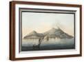 Brown Frame