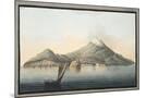 Wood Mount
