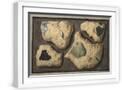White Frame