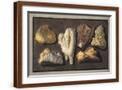 Brown Frame