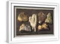 White Frame