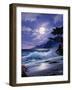 2660T0-Casay Anthony-Framed Giclee Print