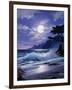 2660T0-Casay Anthony-Framed Giclee Print