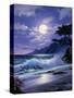 2660T0-Casay Anthony-Stretched Canvas
