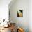 26CO-Pierre Henri Matisse-Stretched Canvas displayed on a wall