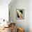26CO-Pierre Henri Matisse-Framed Giclee Print displayed on a wall