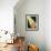 26CO-Pierre Henri Matisse-Framed Giclee Print displayed on a wall