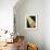 26CO-Pierre Henri Matisse-Framed Giclee Print displayed on a wall