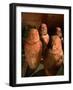 26th Dynasty Canopic Jars, Tomb of Iufaa, Abu Sir, Egypt-Kenneth Garrett-Framed Photographic Print