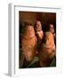 26th Dynasty Canopic Jars, Tomb of Iufaa, Abu Sir, Egypt-Kenneth Garrett-Framed Photographic Print