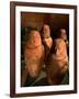 26th Dynasty Canopic Jars, Tomb of Iufaa, Abu Sir, Egypt-Kenneth Garrett-Framed Photographic Print