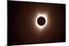 271 Eclipse 2017-Gordon Semmens-Mounted Giclee Print